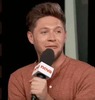 🎸 Niall Horan Niall Horan, cantor, entrevista, One Direction, popstar, músico telegram sticker