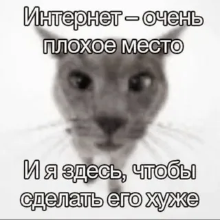 🌐 Интернет – очень плохое место
И я здесь, чтобы сделать его хуже chat, russe, internet, mauvais endroit whatsapp sticker