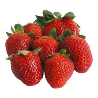 🍓 strawberry, fruit, red, sweet, food, healthy, berry telegram sticker