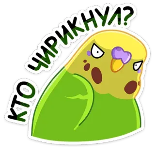 😡 ЧИРИКНУЛ? КТО pájaro, periquito, animal, mascota, lindo, verde, ruso whatsapp sticker