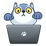 💻