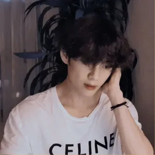 ☁️ CELINE hombre, kpop, celebridad, camiseta, asiático telegram sticker