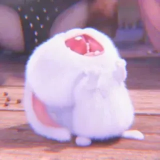 🐰 whatsapp sticker