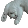 ☆ @emoji1 ★ telegram emojis 🐱