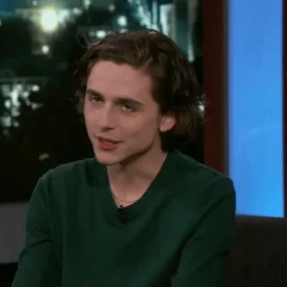 💎 Timothée Chalamet diễn viên, người nổi tiếng, chân dung, đàn ông telegram sticker