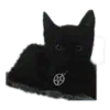🐈‍⬛