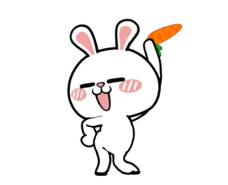 💃 conejo, zanahoria, lindo, feliz, animal whatsapp sticker