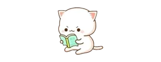 📘 고양이, 독서, 책, 동물, 귀여운, 카와이 telegram sticker