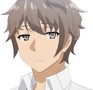 😒 Sakuta Azusagawa Rascal Does Not Dream of Bunny Girl Senpai Anime, Sakuta Azusagawa, Rascal Does Not Dream of Bunny Girl Senpai, Porträt, Junge, Schmollmund, Ausdruck telegram sticker