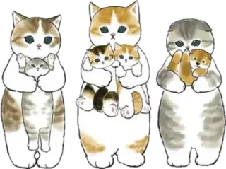 🐱 gatos, gatinhos, animais, fofo, kawaii, animais de estimação telegram sticker