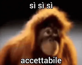 ๐ฆง sรฌ sรฌ sรฌ
accettabile ape, monkey, funny, italian, meme telegram sticker