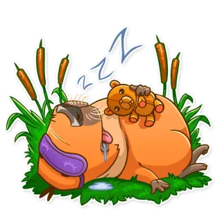 😴 zzz นอน, กำลังนอน, งีบ, หมี, เหนื่อย, การ์ตูน, น่ารัก, สัตว์ telegram sticker