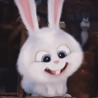😄 @cocopry bunny, cute, white, pet, animal telegram sticker