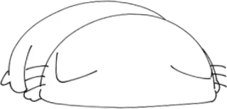 🙇‍♂️ whatsapp sticker
