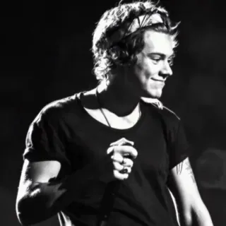 🎵 Harry Styles Harry Styles, singer, musician, celebrity telegram sticker