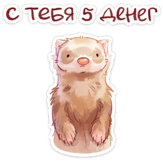 ⭐ С ТЕБЯ 5 ДНЕЙ furão, animal, fofo, texto telegram sticker