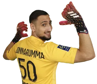 💲 Donnarumma DONNARUMMA
50 football, gardien de but, football, athlète, joueur, sport telegram sticker