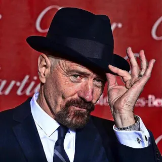🗿 Walter White Breaking Bad Walter White, Heisenberg, Breaking Bad, Bryan Cranston, hat, tv show telegram sticker