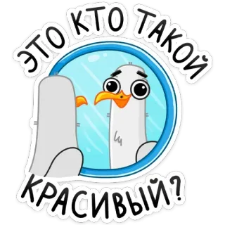 😍 ЭТО КТО ТАКОЙ КРАСИВЫЙ? seagull, mirror, funny, cute, bird, reflection telegram sticker