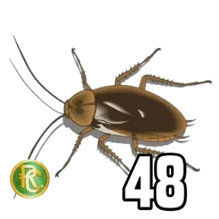 4️⃣ 48 cucaracha, insecto, número 48, plaga, chinche telegram sticker