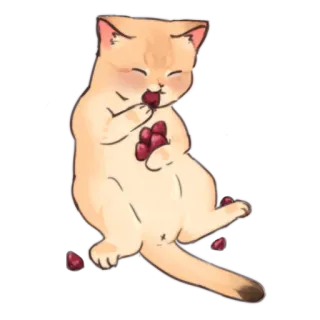 😋 แมว, สัตว์, น่ารัก, สัตว์เลี้ยง telegram sticker