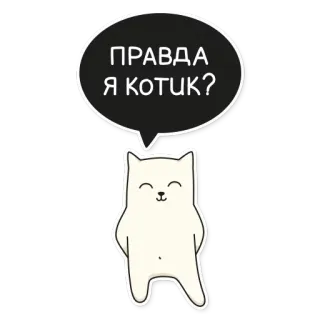 😻 ПРАВДА Я КОТИК? Katze, russisch, Sticker, Tier, süß, Text telegram sticker