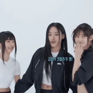 🪠 감자키 코알라 두 명! whatsapp sticker