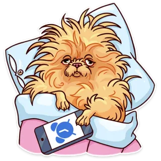 ⏰ perro, durmiendo, almohada, despertador, teléfono, cansado, mascota whatsapp sticker