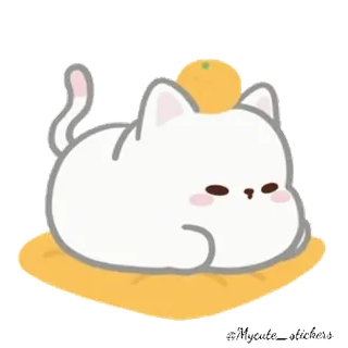 🐱 кот, котёнок, милый, рыжий, животное, каваий, питомец, сонный whatsapp sticker