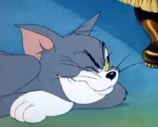 😐 Tom Cat Tom and Jerry кот, мультфильм, спящий, животное, телешоу whatsapp sticker
