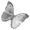 𝒢𝘳𝘢𝘺 🩶 @xkysluv telegram emojis 🦋