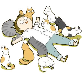 ☺ gatos, homem, desenho animado, animais, animal de estimação, animais domésticos whatsapp sticker