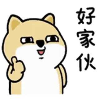 💬 好家伙 perro, dibujos animados, chino, emoción, reacción, gesto telegram sticker