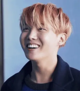 😅 J-Hope J-Hope, BTS, K-pop, músico, cantante, bailarín whatsapp sticker