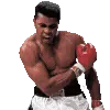 🥊