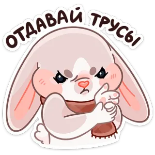 😠 ОТДАВАЙ ТРУСЫ 토끼, 화난, 목도리, 만화, 스티커 telegram sticker
