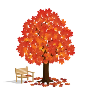 🍁 boom, herfst, herfst, bladeren, bank telegram sticker