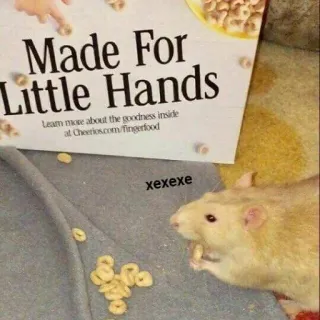 😋 Made For Little Hands
Learn more about the goodness inside
at Cheerios.com/fingerfood
xexexe ซีเรียล, อาหาร, หนู, ชีริโอส, โฆษณา, ขนม, อาหารเช้า telegram sticker