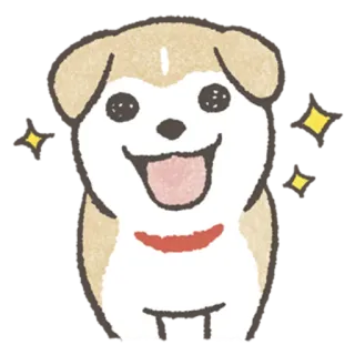 ✨ 강아지, 개, 귀여운, 동물, 애완동물 telegram sticker