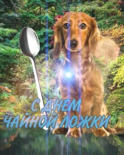 🥄 С ДНЕМ ЧАЙНОЙ ЛОЖКИ dog, spoon, dachshund, nature, greeting, russian telegram sticker