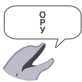 🤣 ОРУ delfín, texto, animal, mamífero whatsapp sticker
