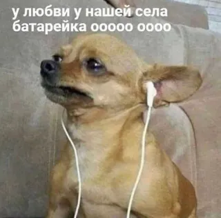 🌟 У ЛЮБВИ У НАШЕЙ СЕЛА
БАТАРЕЙКА OOOOO OOOO cane, cuffie, musica, meme, chihuahua, triste telegram sticker
