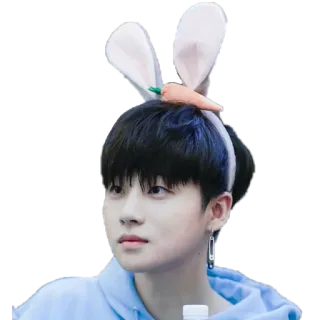 🐰 người, thỏ, tai, cà rốt, băng đô, dễ thương telegram sticker