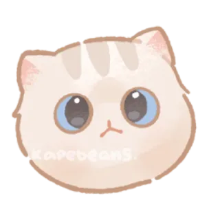 😶 kapebeans. gato, lindo, animal, pegatina, dibujo animado whatsapp sticker