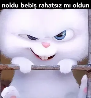 😈 Snowball The Secret Life of Pets noldu bebek rahatsız mı oldun 토끼, 흰 토끼, 만화, 귀여운, 동물 whatsapp sticker