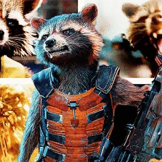 Rocket Raccoon @freetopsticker whatsapp stickers