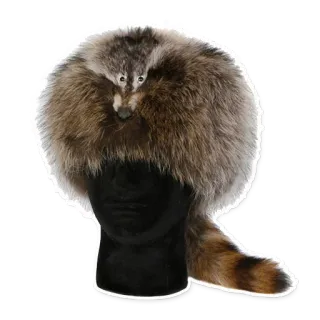 RACOONPACK2 telegram stickers