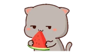 🍩 cat, watermelon, cute, eating, cartoon, sticker telegram sticker