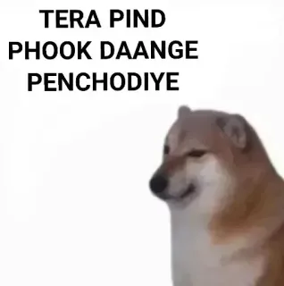 ✨ TERA PIND PHOOK DAANGE PENCHODIYE doge, meme, offensive, insult, hindi telegram sticker
