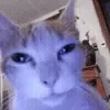 🫤
